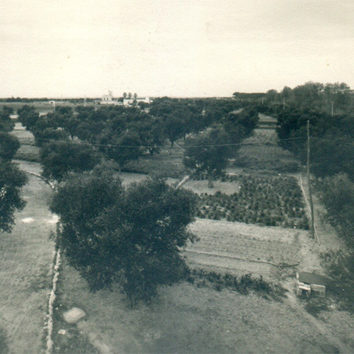 Tenuta Belvedere la nostra storia