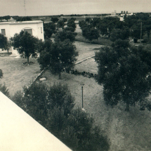 Tenuta Belvedere la nostra storia