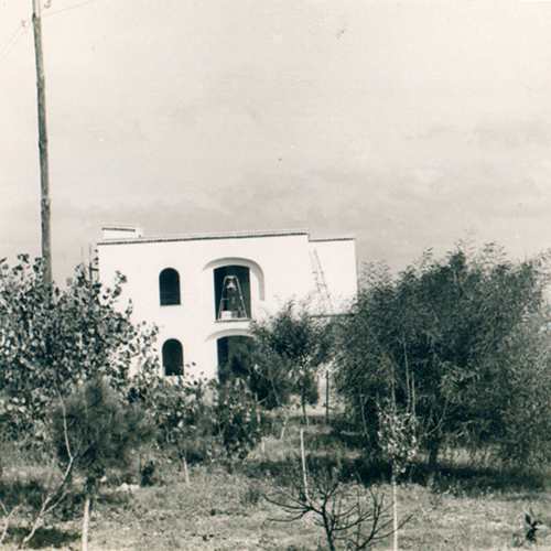 Tenuta Belvedere la nostra storia