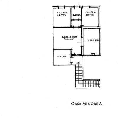 piantina_orsa_minore_a