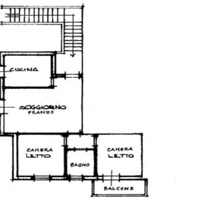 piantina_orsa_minore_b_p