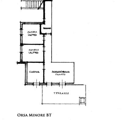 piantina_orsa_minore_bt